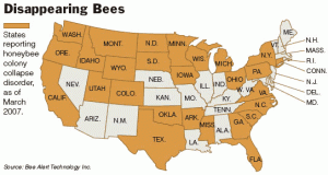 bees-LG